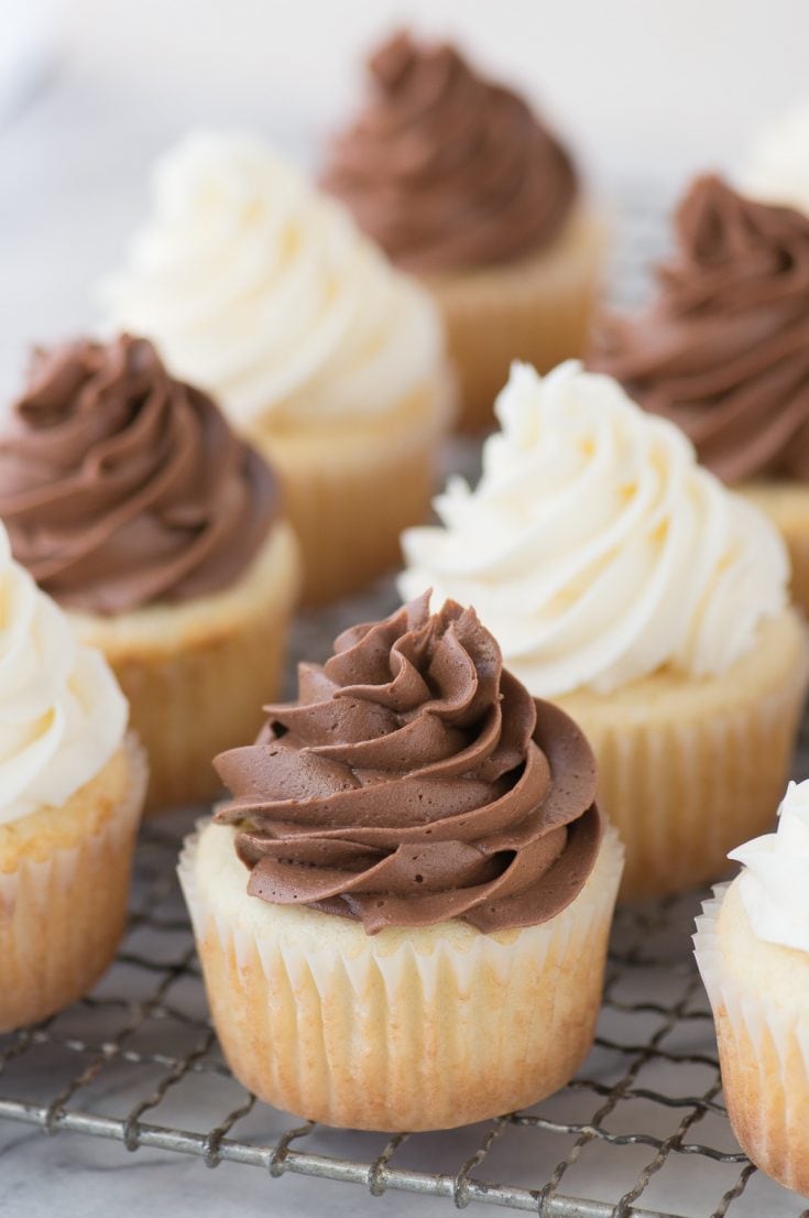 Bakery Cupcakes